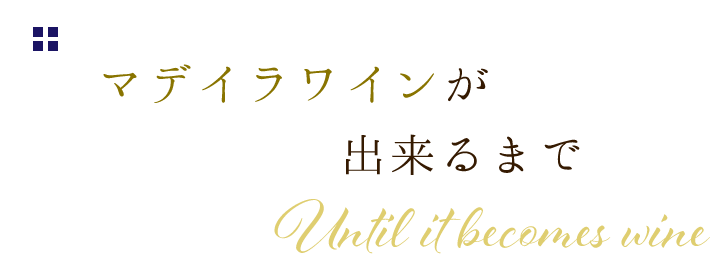 マデイラワインが出来るまで