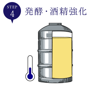 4.発酵・酒精強化