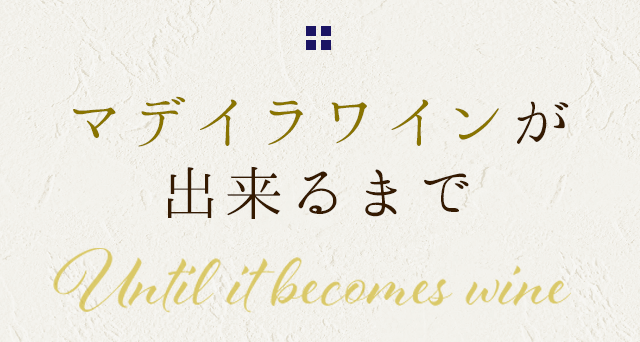 マデイラワインが 出来るまで
